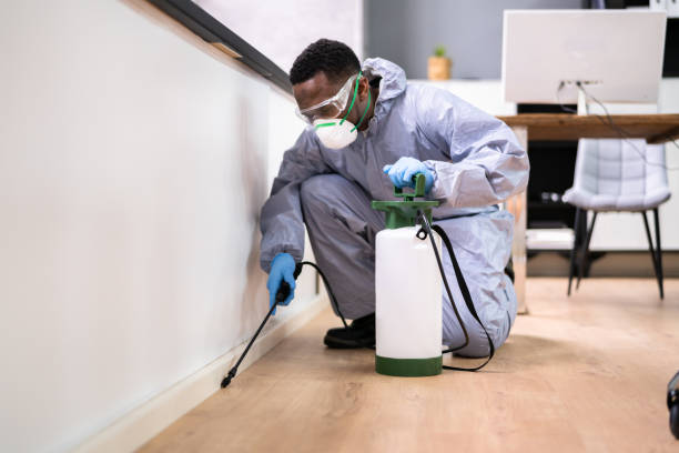 Best Fumigation Services  in Moody, TX